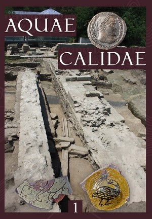 Aquae calidae